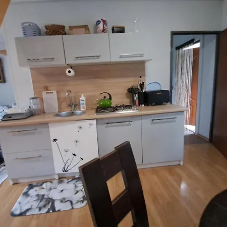Prázdninový dům Agroturystyka U Danika *