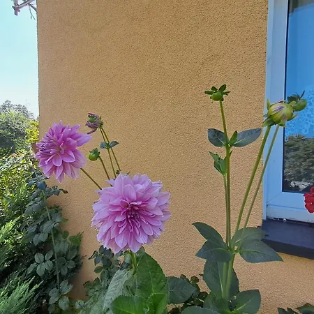 Agroturystyka U Danika Prázdninový dům